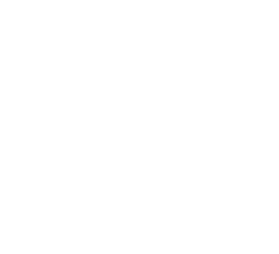 Flow chart of model mode